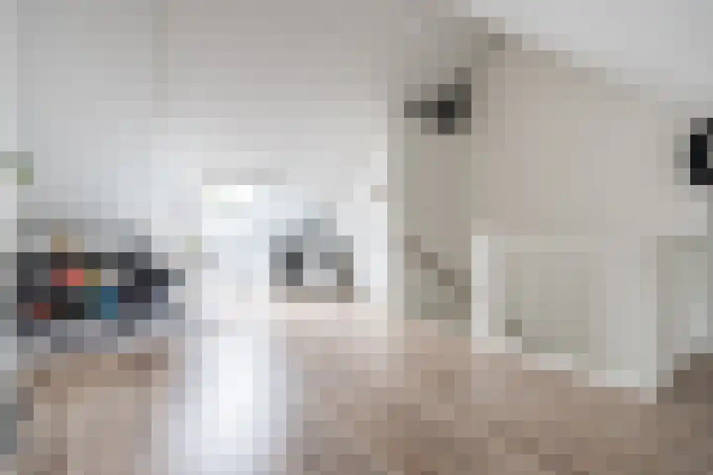 Kees Geenenstraat 1 Eindhoven thumbnail 37