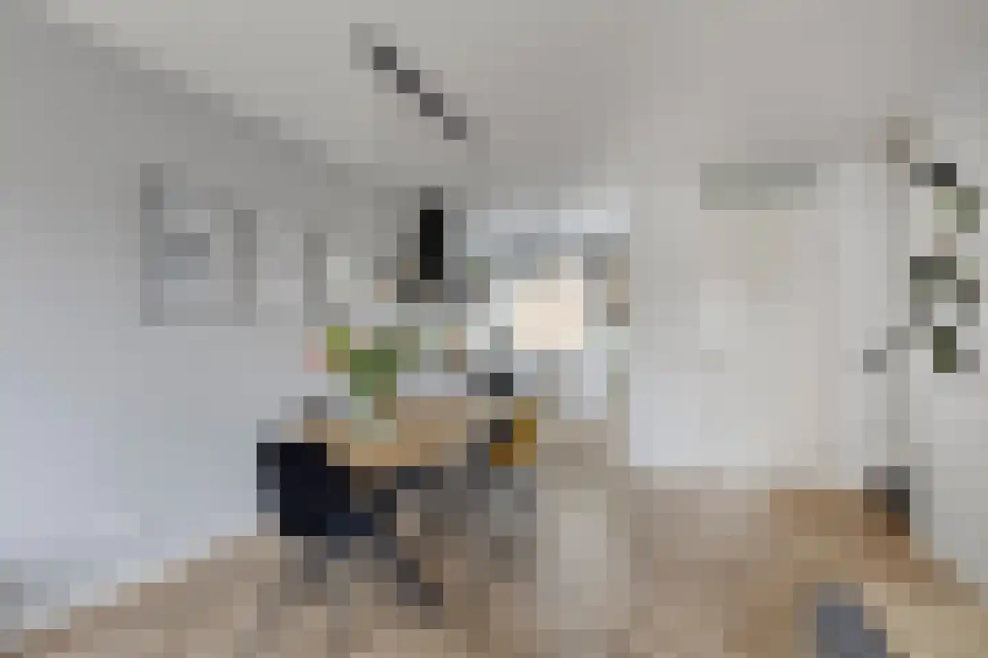 Kees Geenenstraat 13 Eindhoven thumbnail 12
