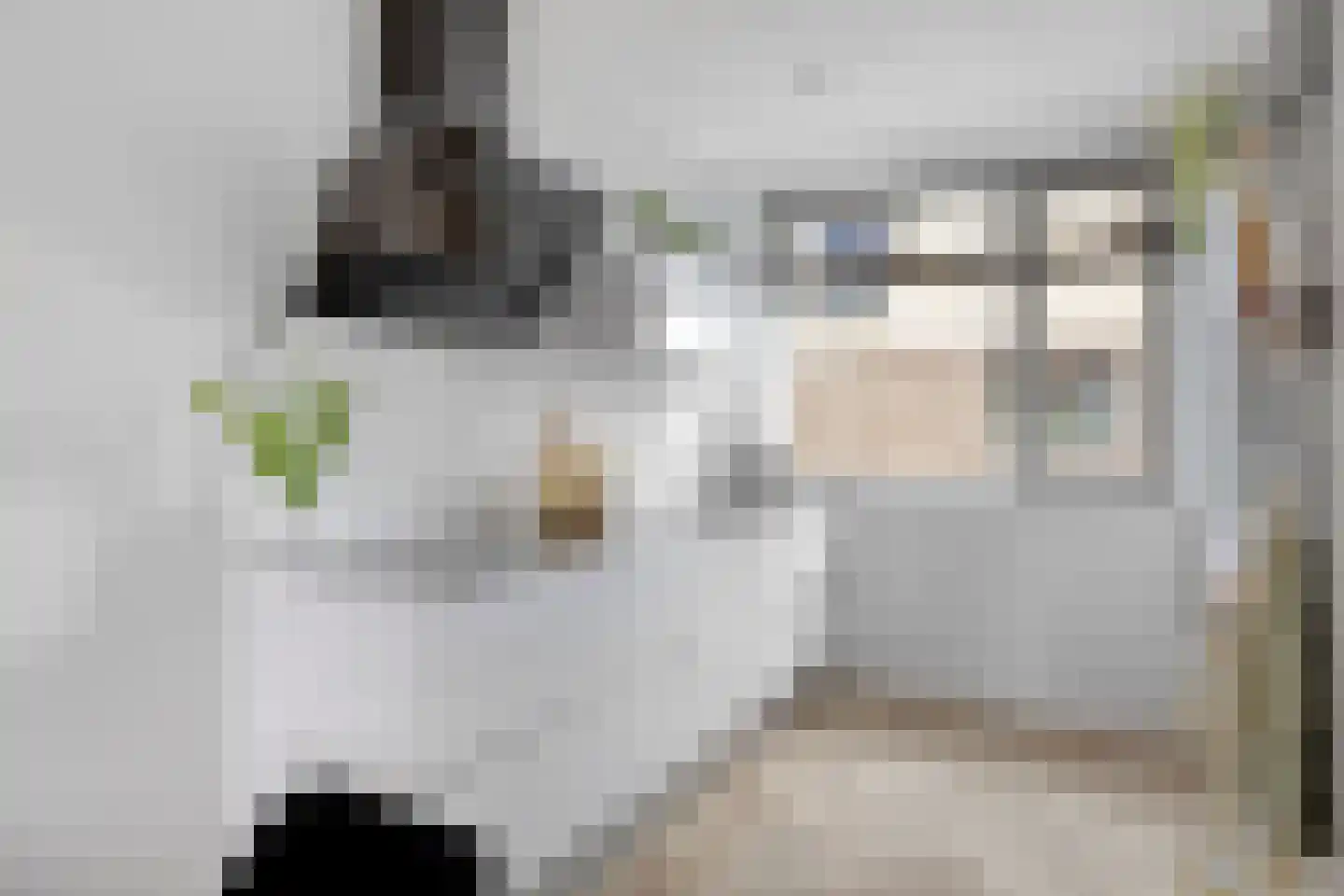 Kees Geenenstraat 13 Eindhoven thumbnail 14