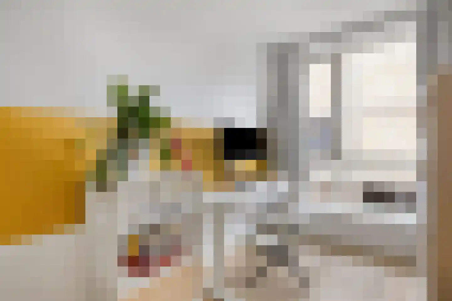 Kees Geenenstraat 13 Eindhoven thumbnail 21