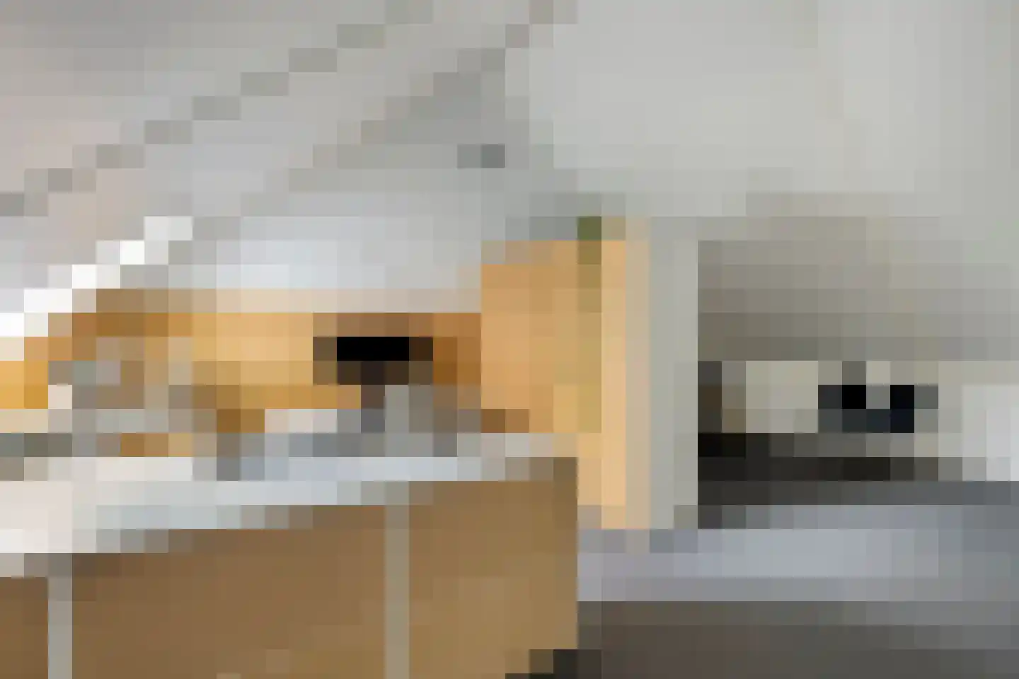 Kees Geenenstraat 13 Eindhoven thumbnail 28