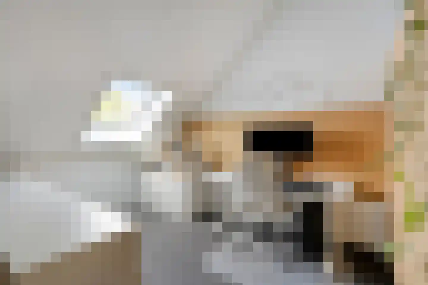 Kees Geenenstraat 13 Eindhoven thumbnail 29