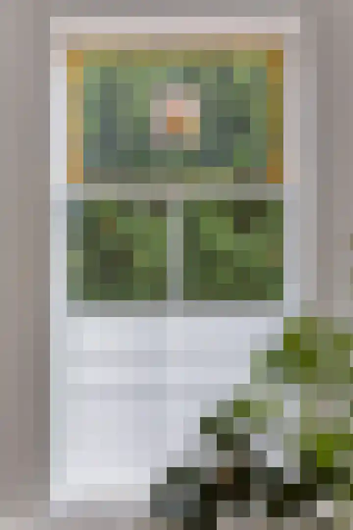 Photo of Kees Kooyman