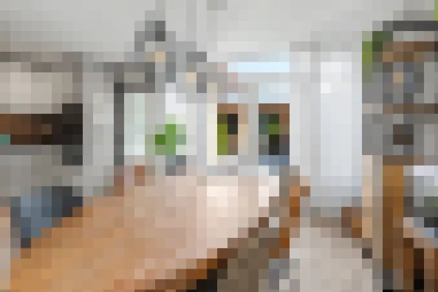 Kees Mulderweg 63 Wageningen thumbnail 8