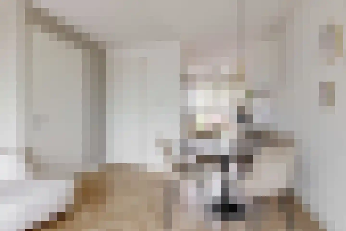 Kees Pellenaarsstraat 7 Alphen aan den Rijn thumbnail 8