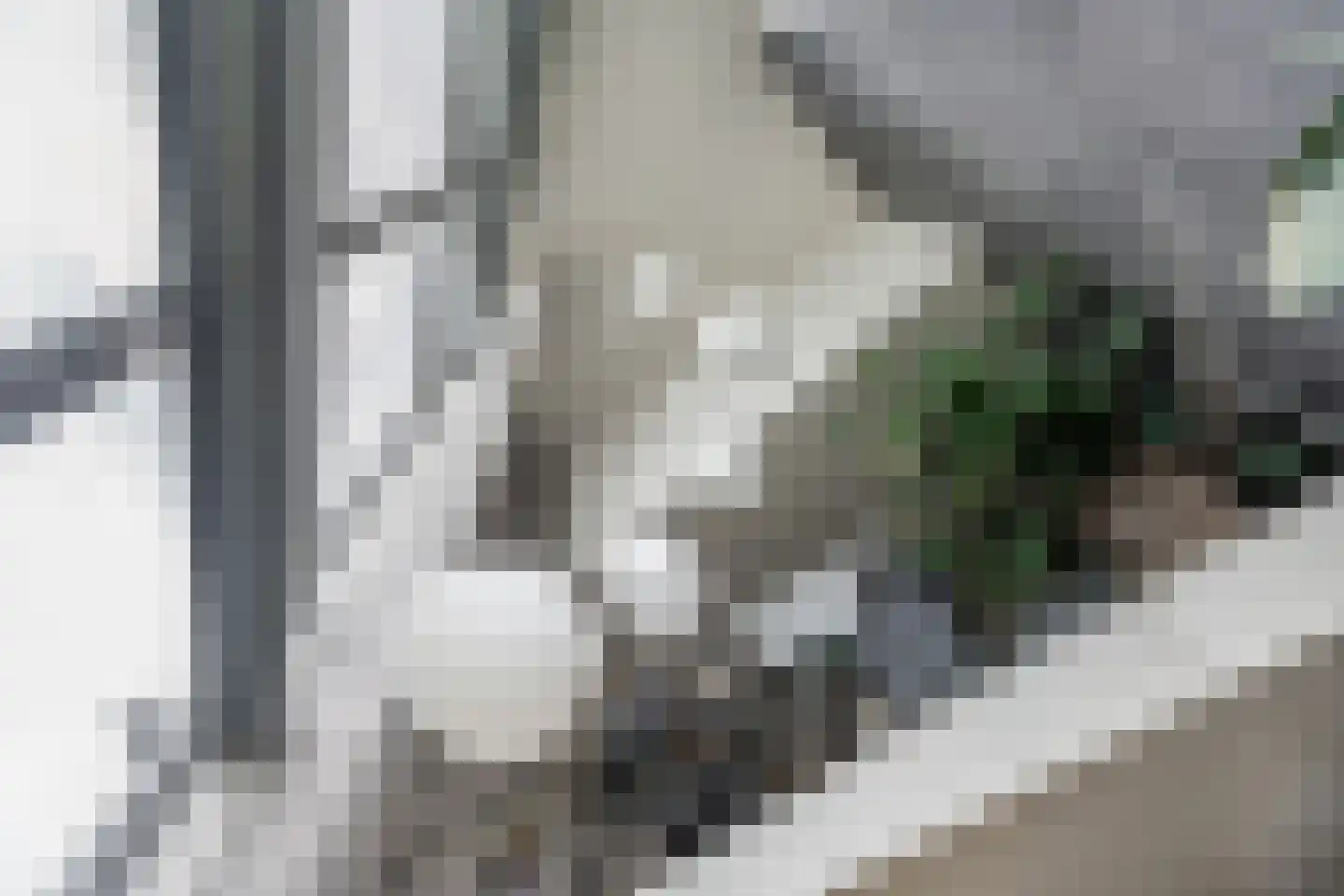 Kees Pijlstraat 33 Rotterdam thumbnail 9