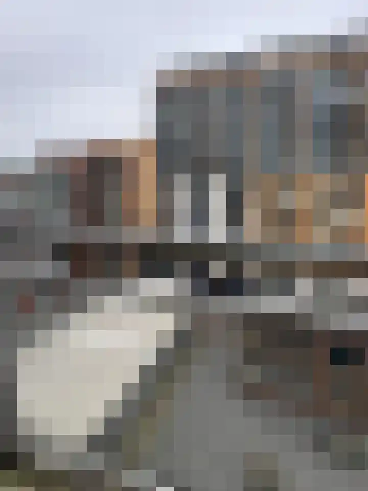 Kees Pijlstraat 50 Rotterdam thumbnail 14