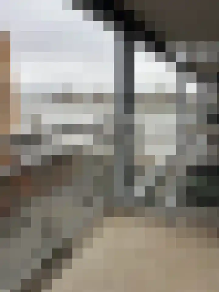 Kees Pijlstraat 50 Rotterdam thumbnail 15