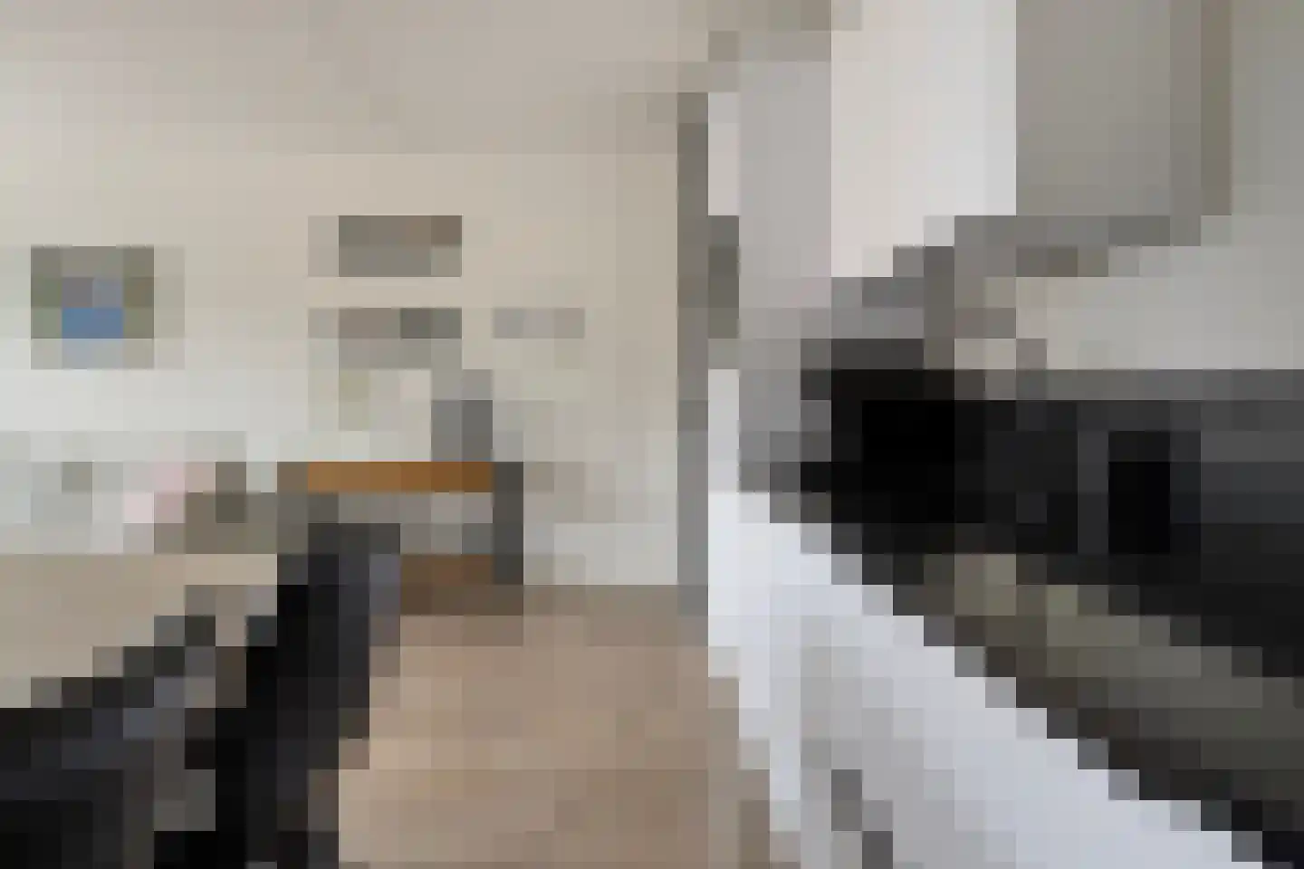 Kees Stipplein 12 Veenendaal thumbnail 11