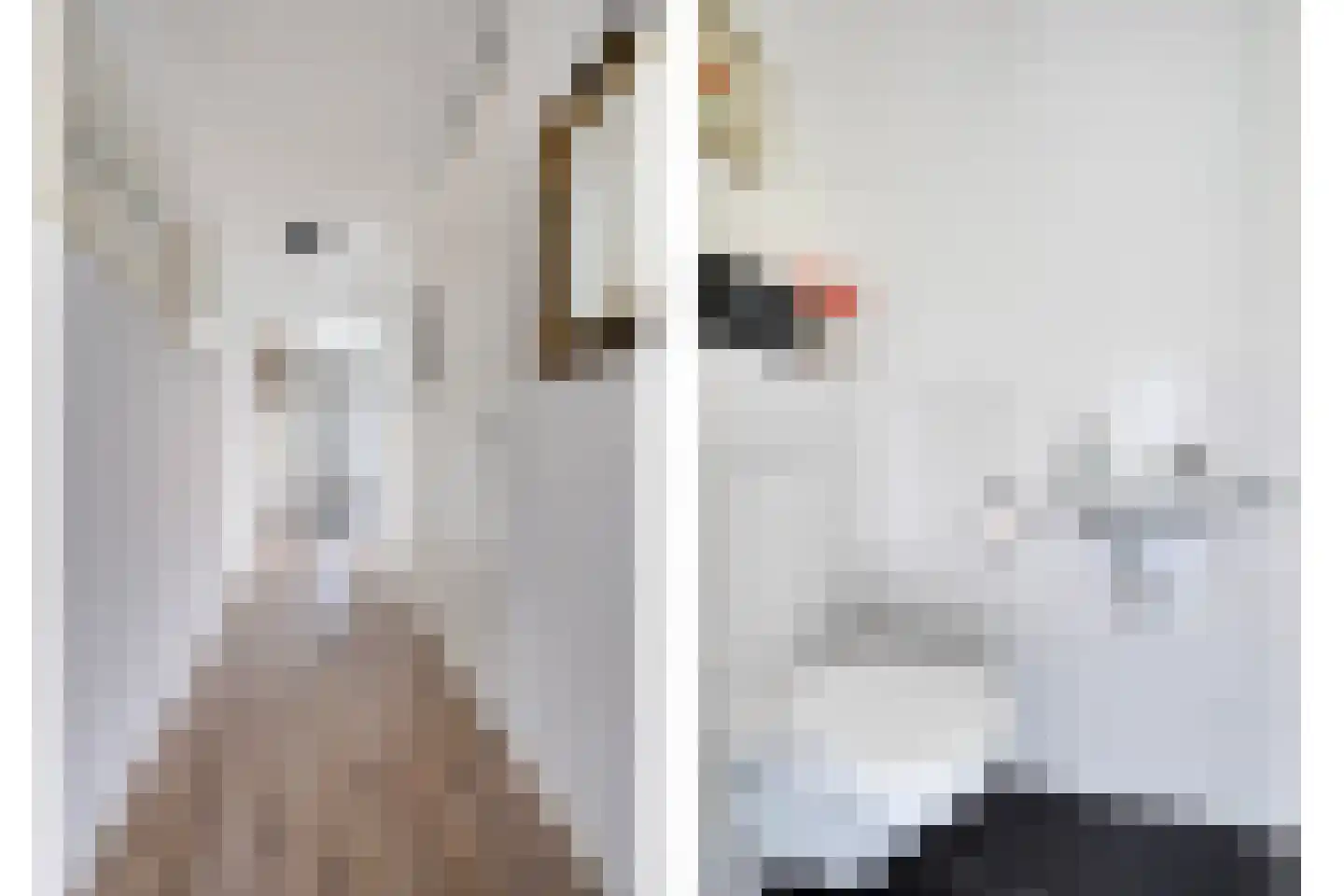 Kees Stipplein 12 Veenendaal thumbnail 15