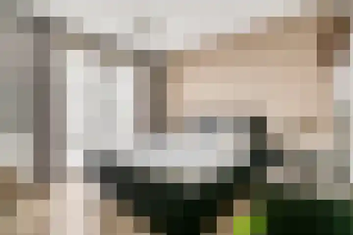 Kees Stipplein 34 Veenendaal thumbnail 21