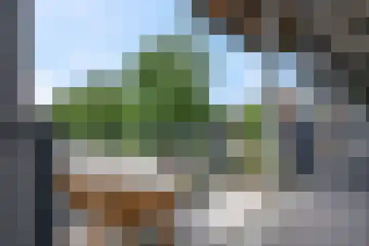 Kees Stipplein 34 Veenendaal thumbnail 27