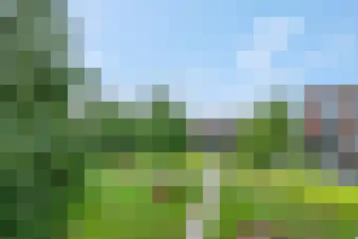 Kees Stipplein 34 Veenendaal thumbnail 28