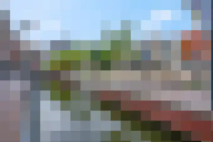 Kees Stipplein 34 Veenendaal thumbnail 7