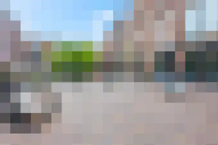 Kees Stipplein 34 Veenendaal thumbnail 8