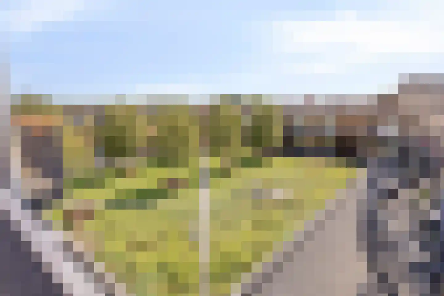 Kees Stipplein 68 Veenendaal thumbnail 8