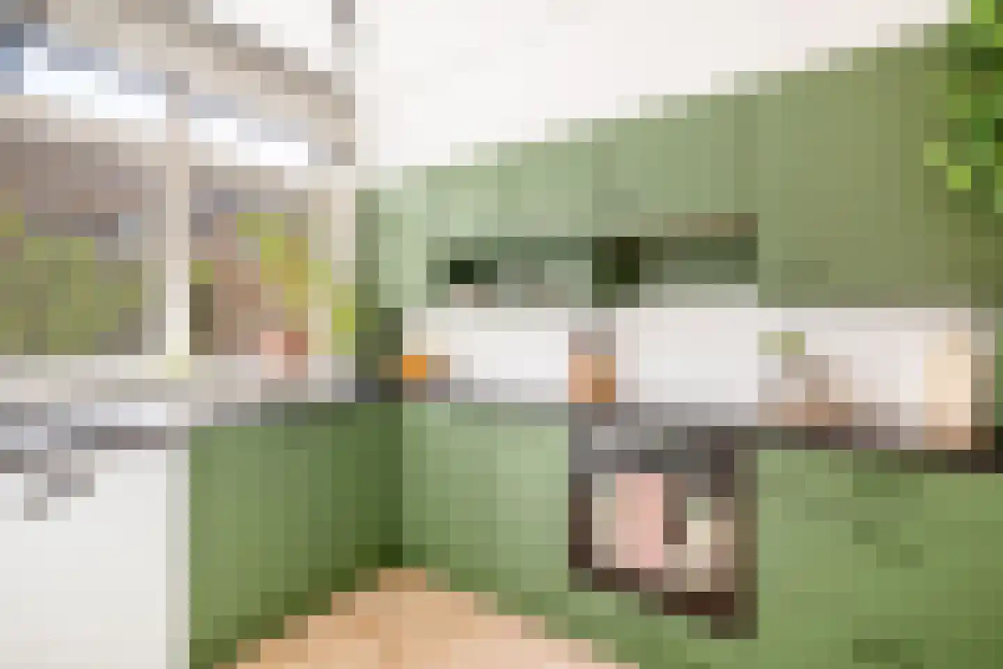Kees 't Hoenstraat 12 Spaarndam thumbnail 25