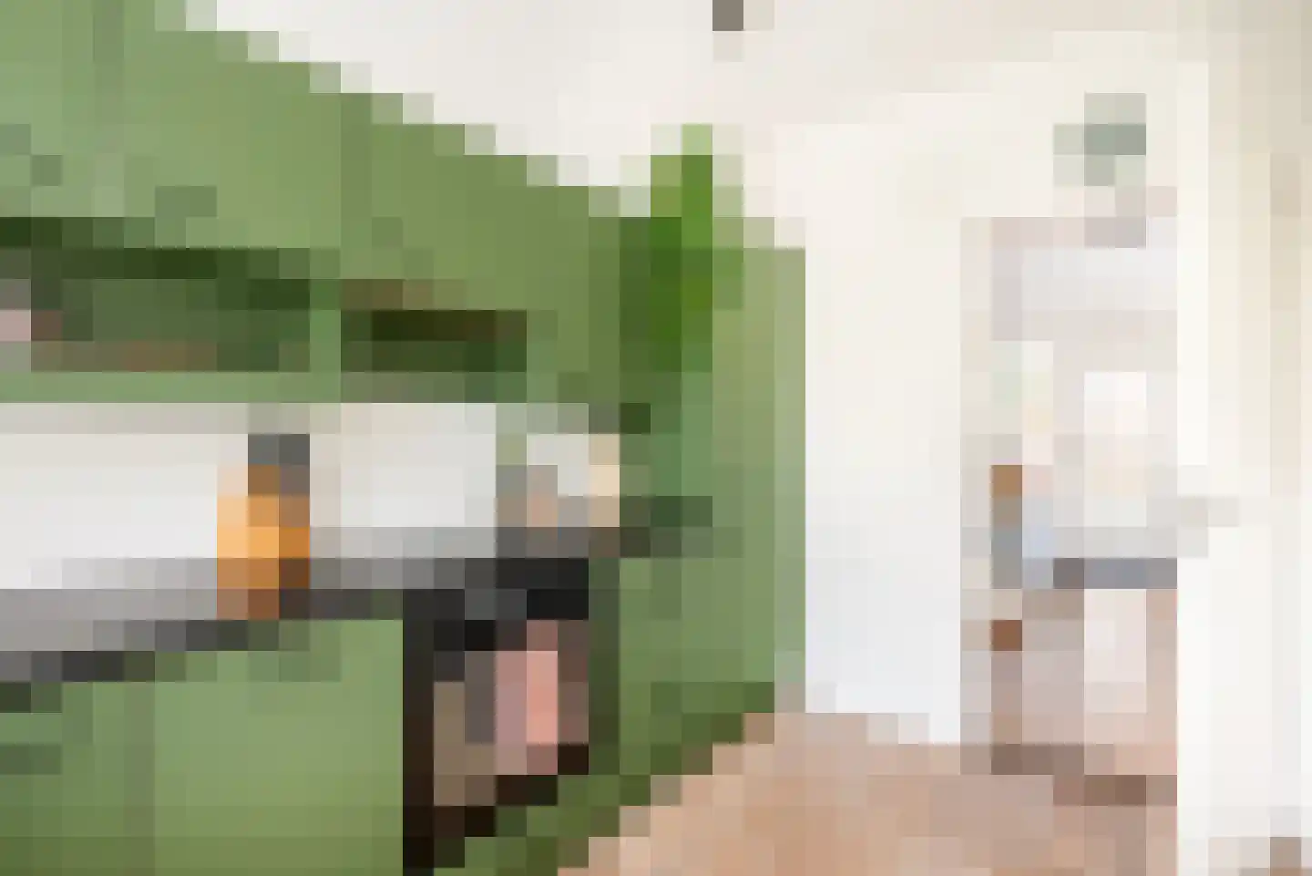 Kees 't Hoenstraat 12 Spaarndam thumbnail 26