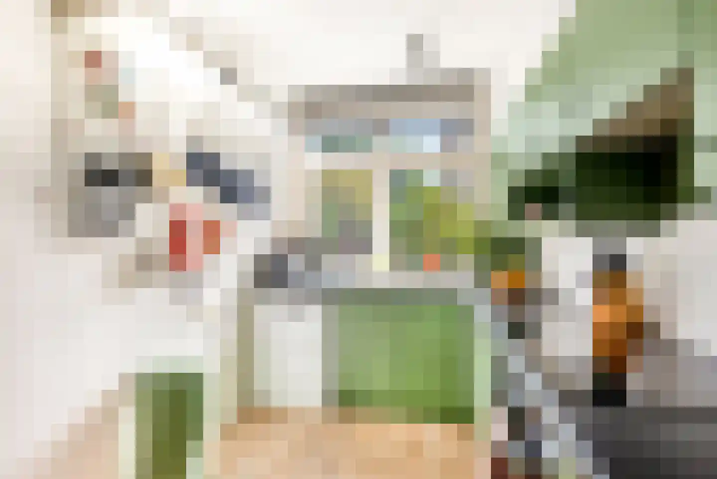 Kees 't Hoenstraat 12 Spaarndam thumbnail 27