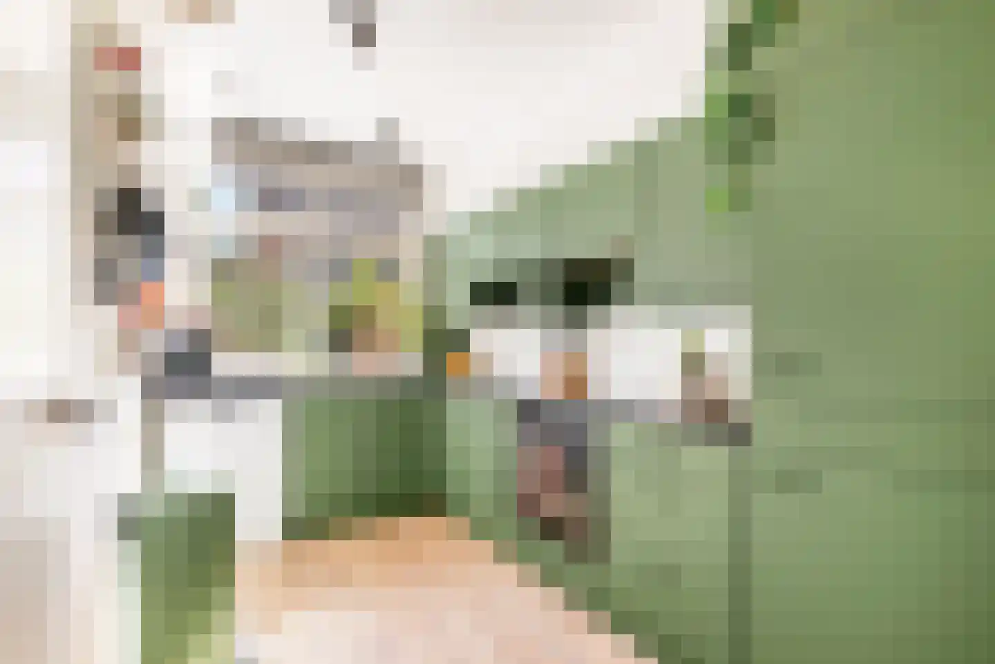 Kees 't Hoenstraat 12 Spaarndam thumbnail 28