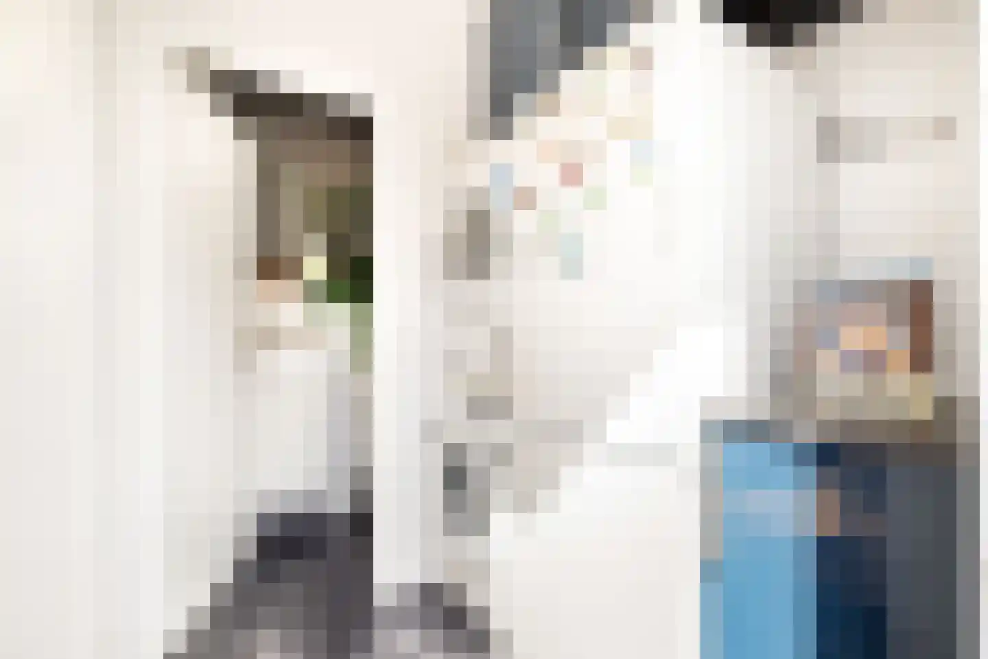 Kees 't Hoenstraat 12 Spaarndam thumbnail 30