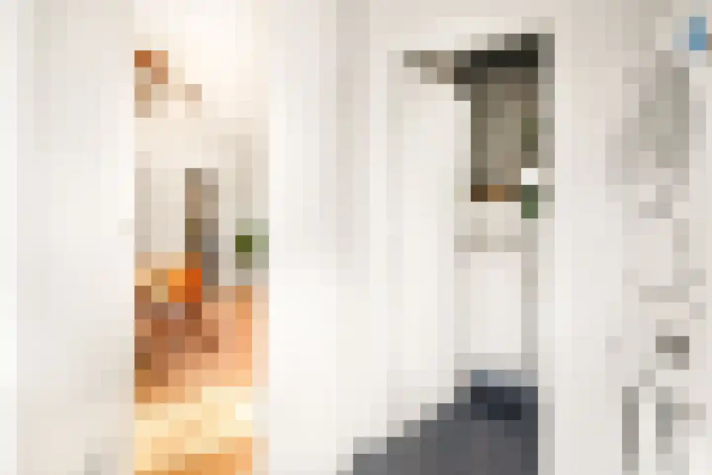 Kees 't Hoenstraat 12 Spaarndam thumbnail 32