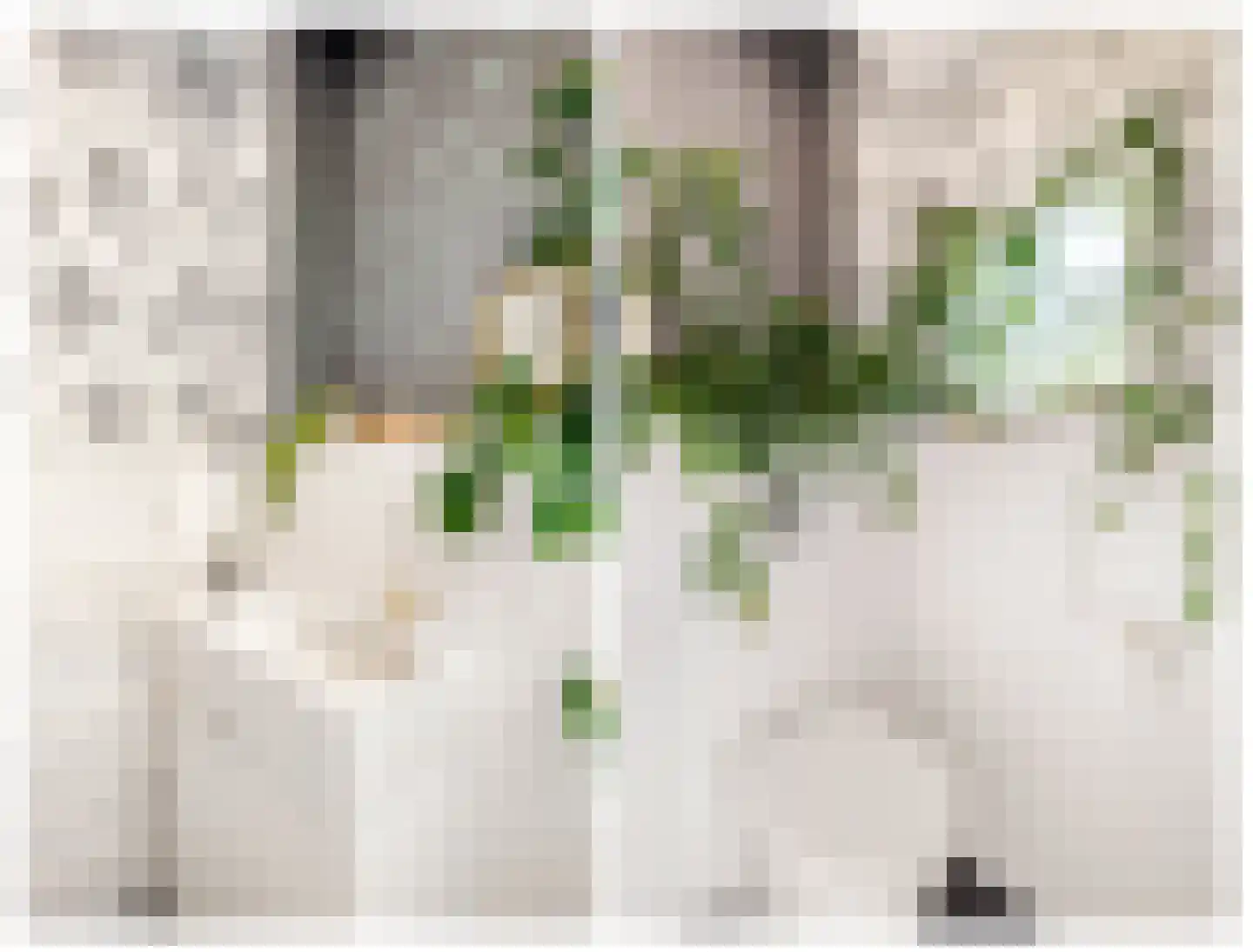 Kees 't Hoenstraat 12 Spaarndam thumbnail 33