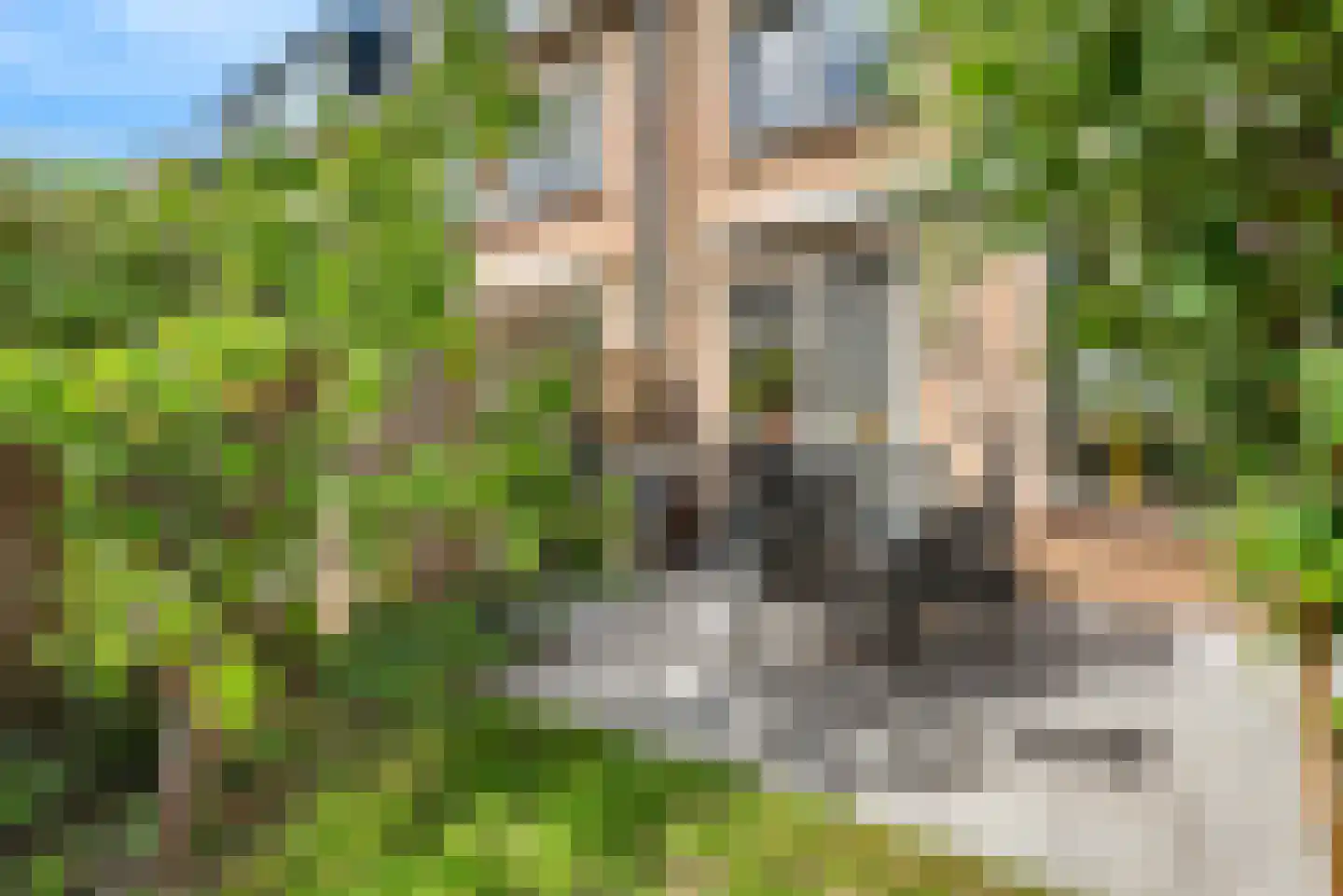 Kees 't Hoenstraat 12 Spaarndam thumbnail 39