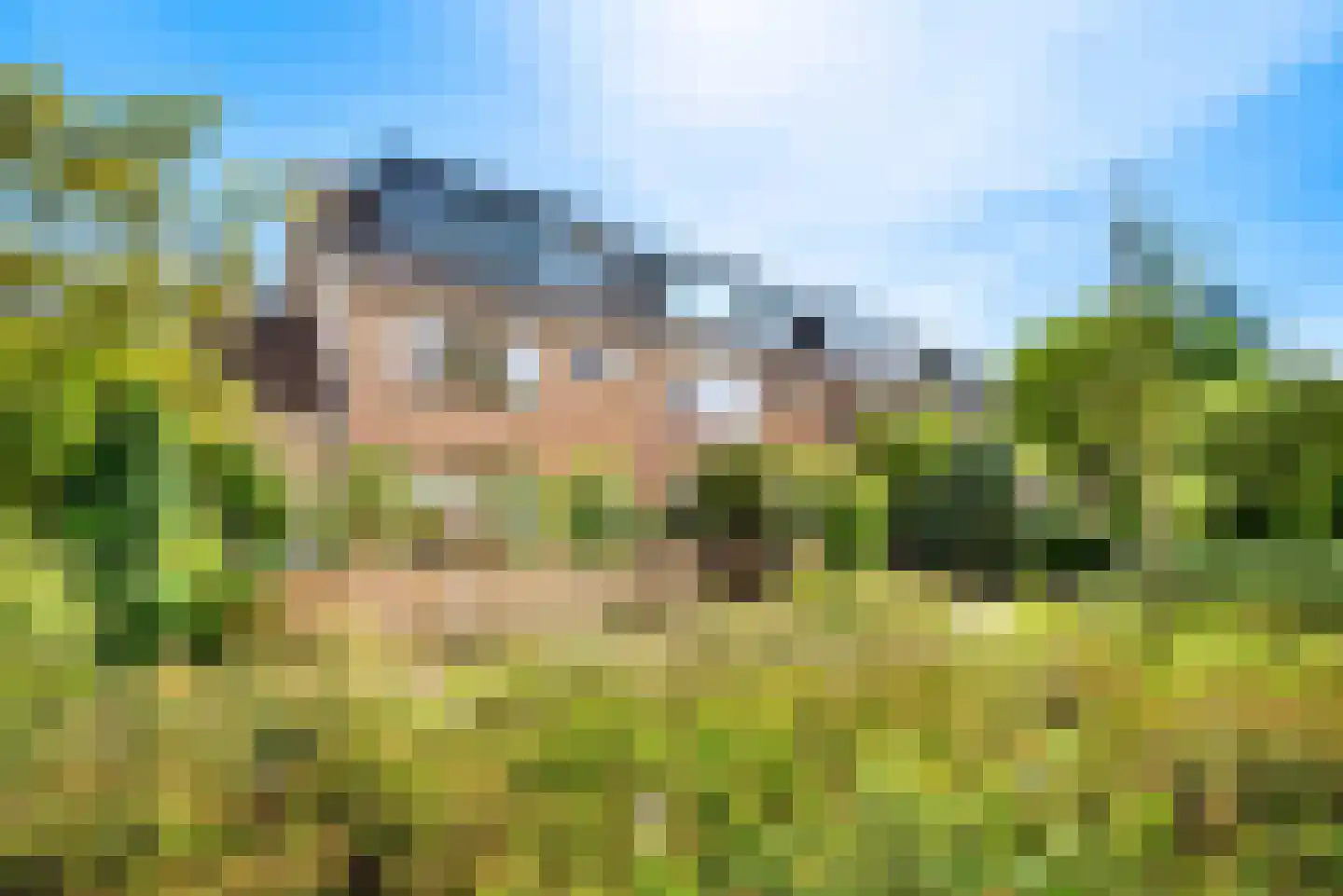Kees 't Hoenstraat 12 Spaarndam thumbnail 5