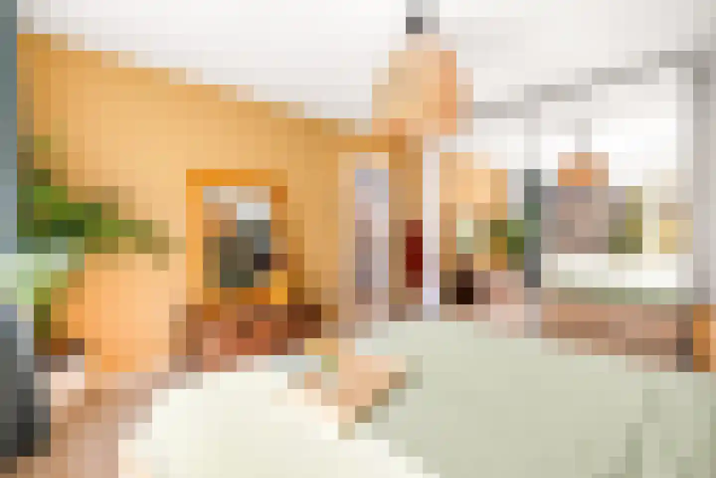 Kees 't Hoenstraat 12 Spaarndam thumbnail 54
