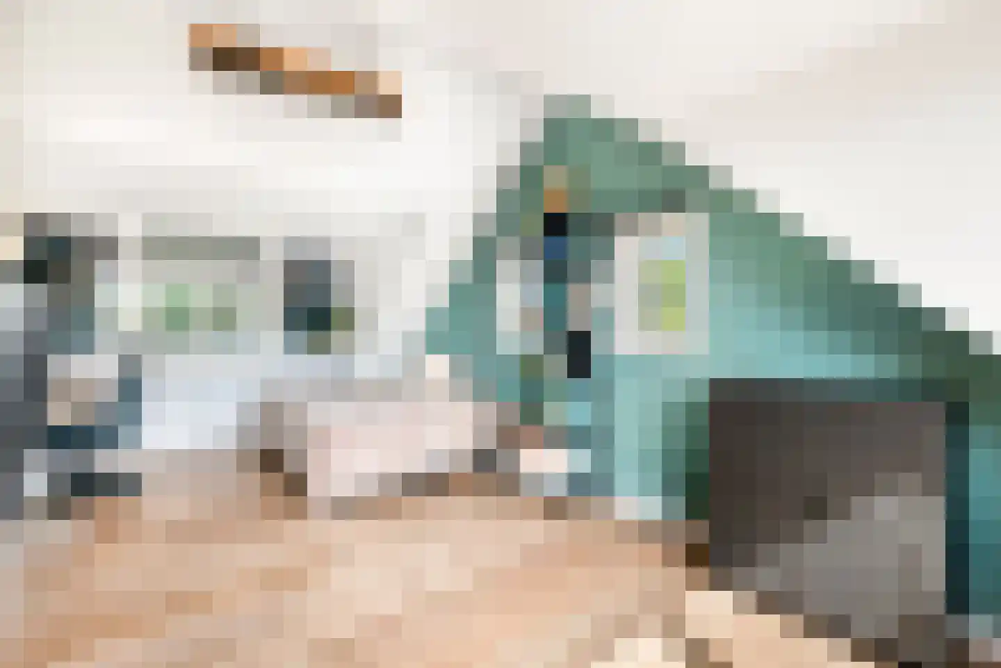 Kees 't Hoenstraat 12 Spaarndam thumbnail 69
