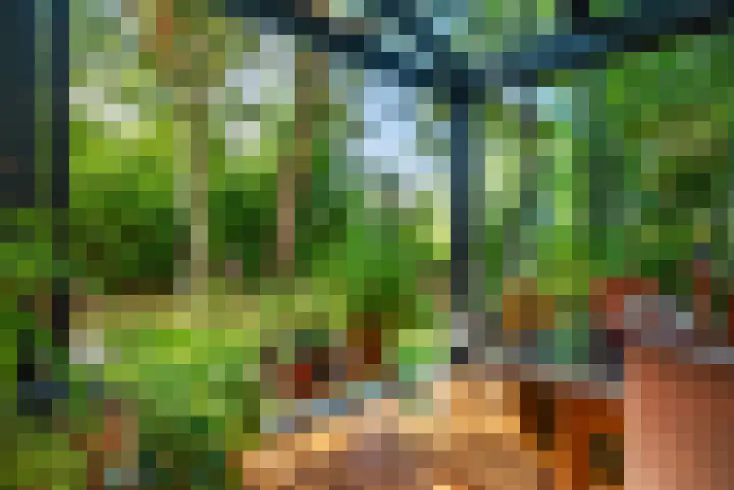 Kees 't Hoenstraat 7 Spaarndam thumbnail 22