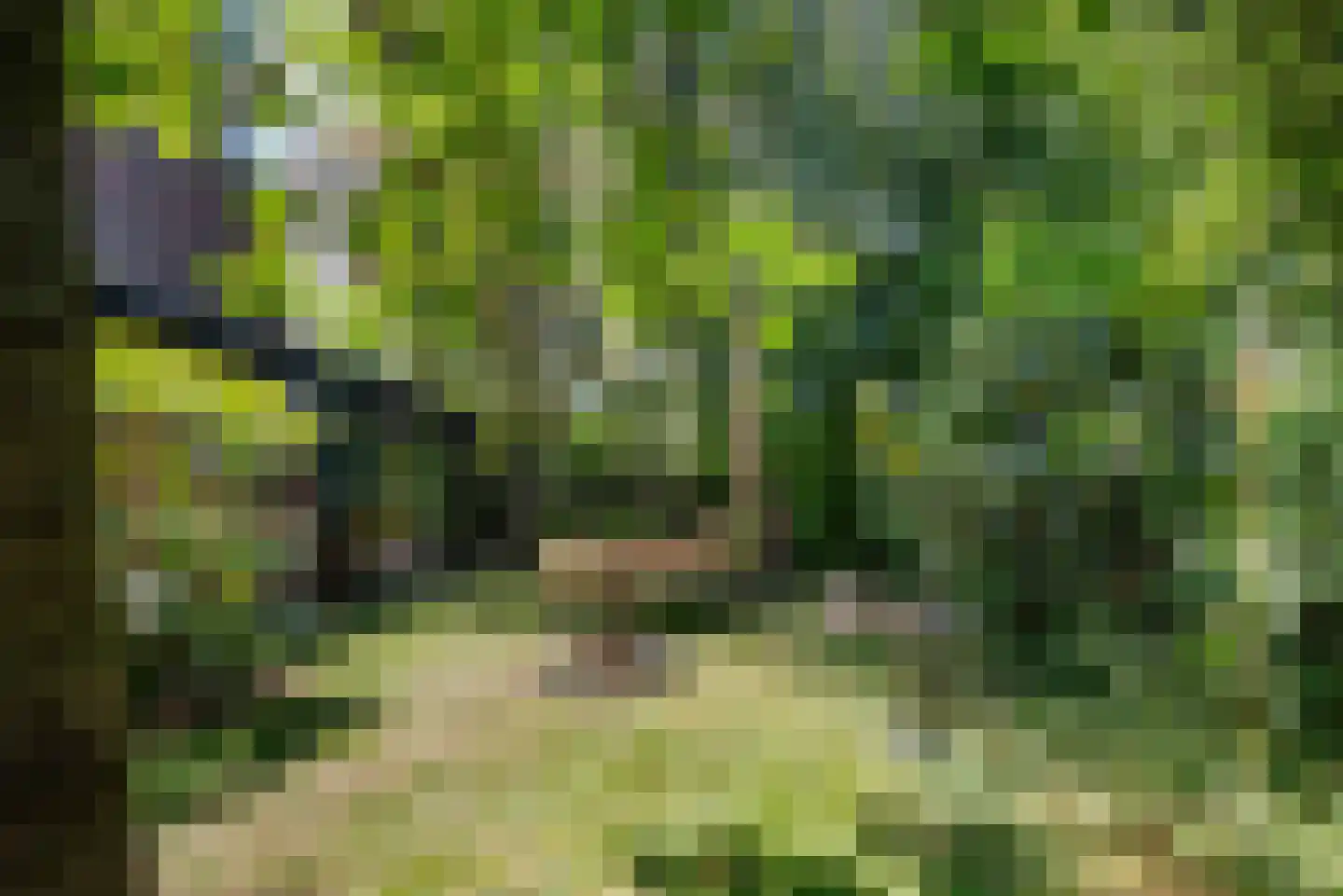 Kees 't Hoenstraat 7 Spaarndam thumbnail 24