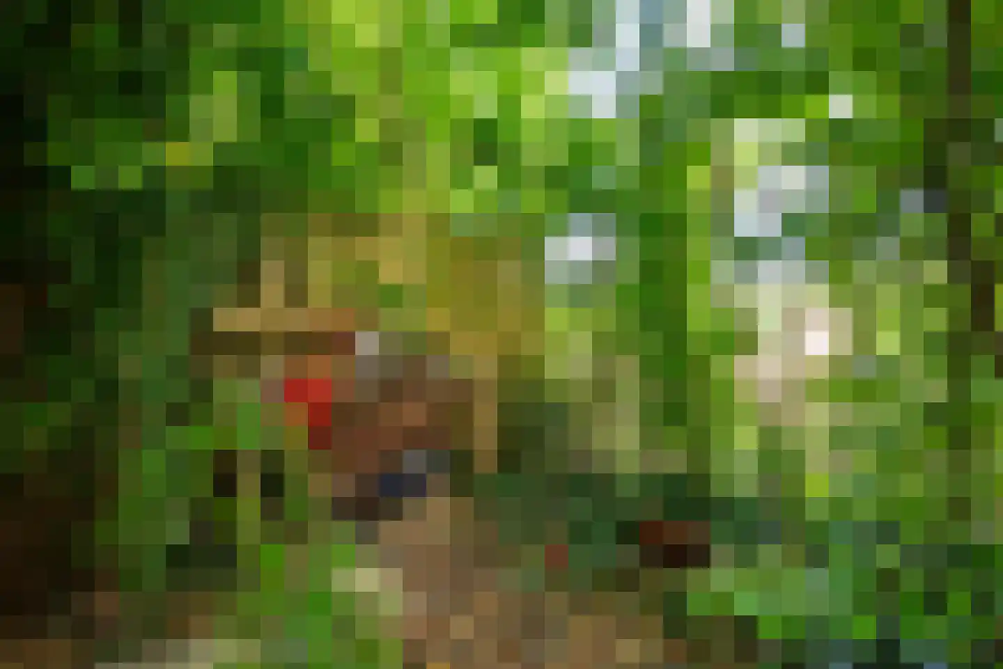 Kees 't Hoenstraat 7 Spaarndam thumbnail 25