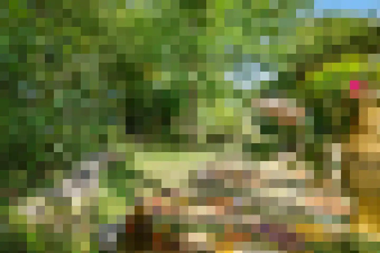 Kees 't Hoenstraat 7 Spaarndam thumbnail 30