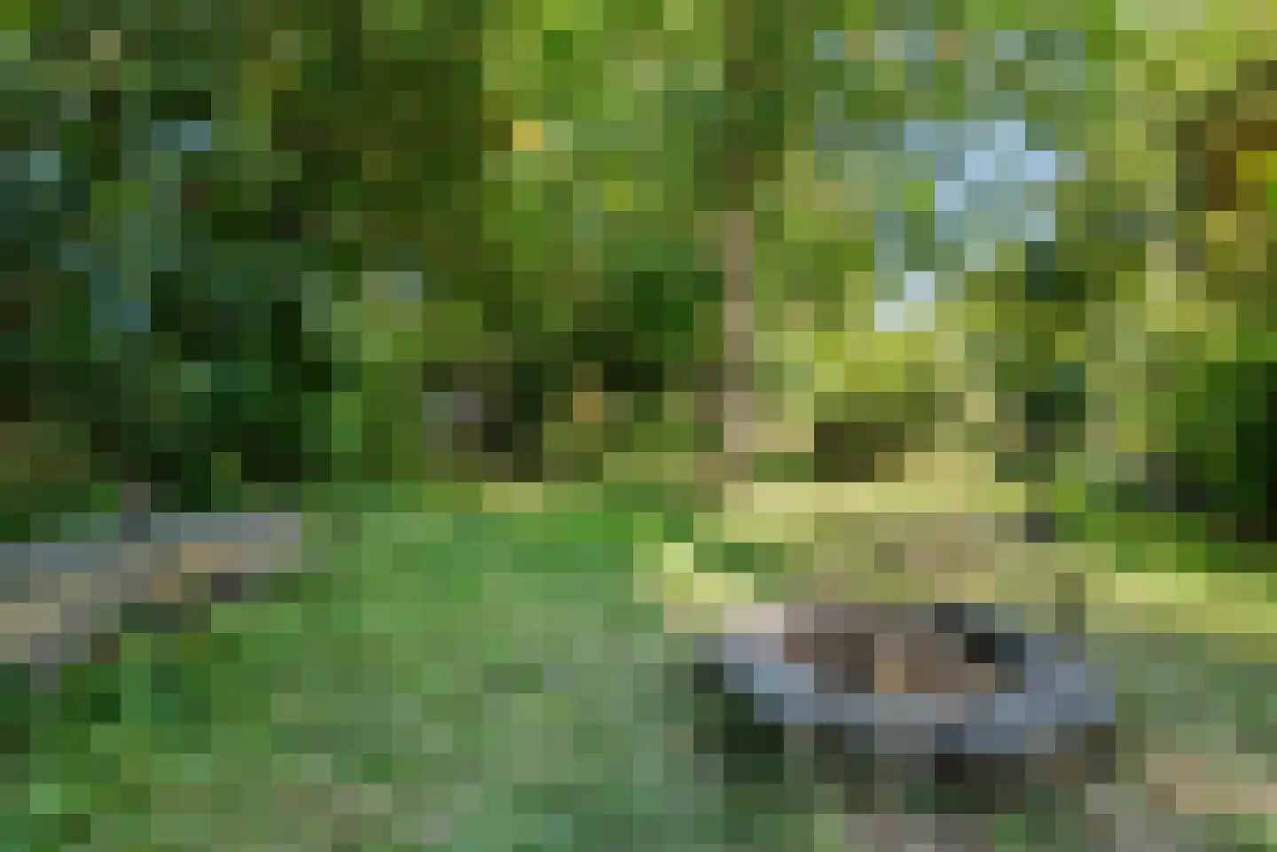 Kees 't Hoenstraat 7 Spaarndam thumbnail 31