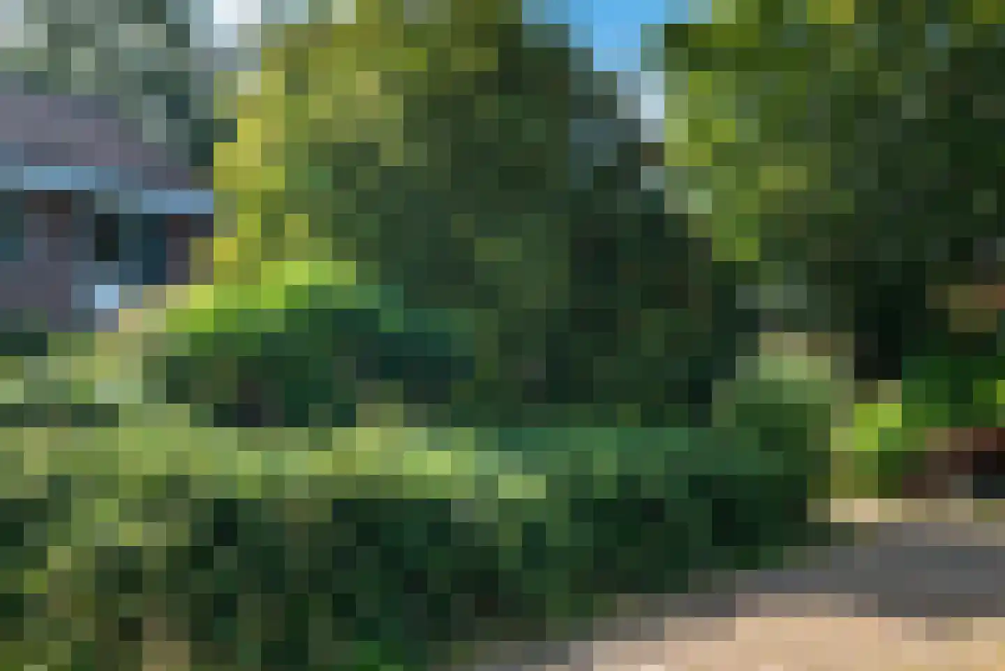 Kees 't Hoenstraat 7 Spaarndam thumbnail 46