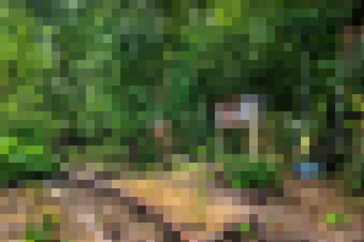 Kees 't Hoenstraat 7 Spaarndam thumbnail 47