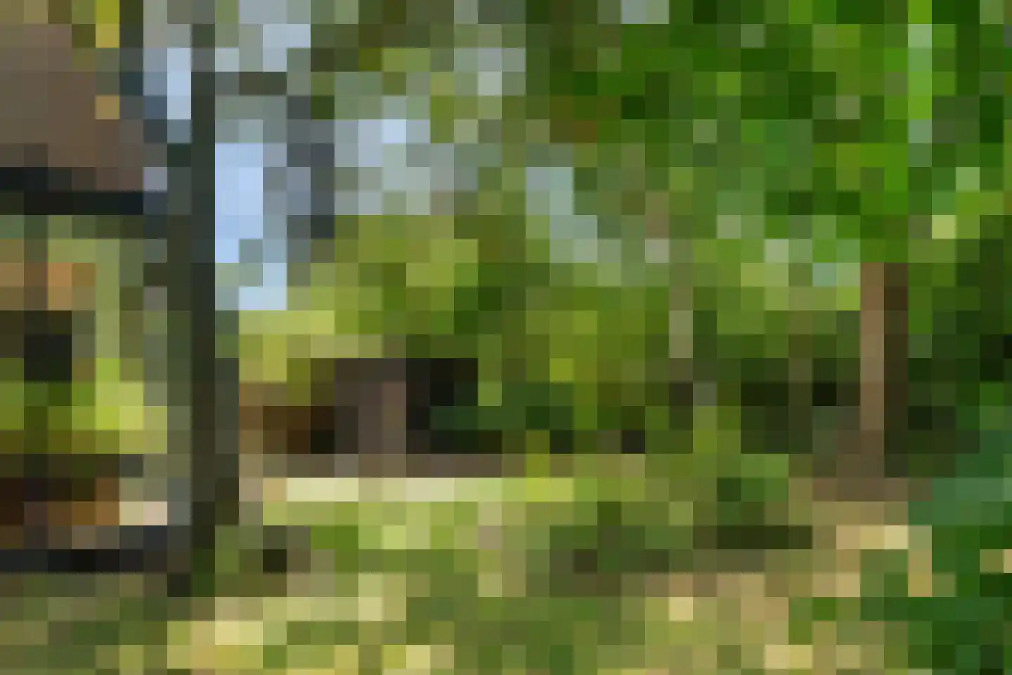 Kees 't Hoenstraat 7 Spaarndam thumbnail 5