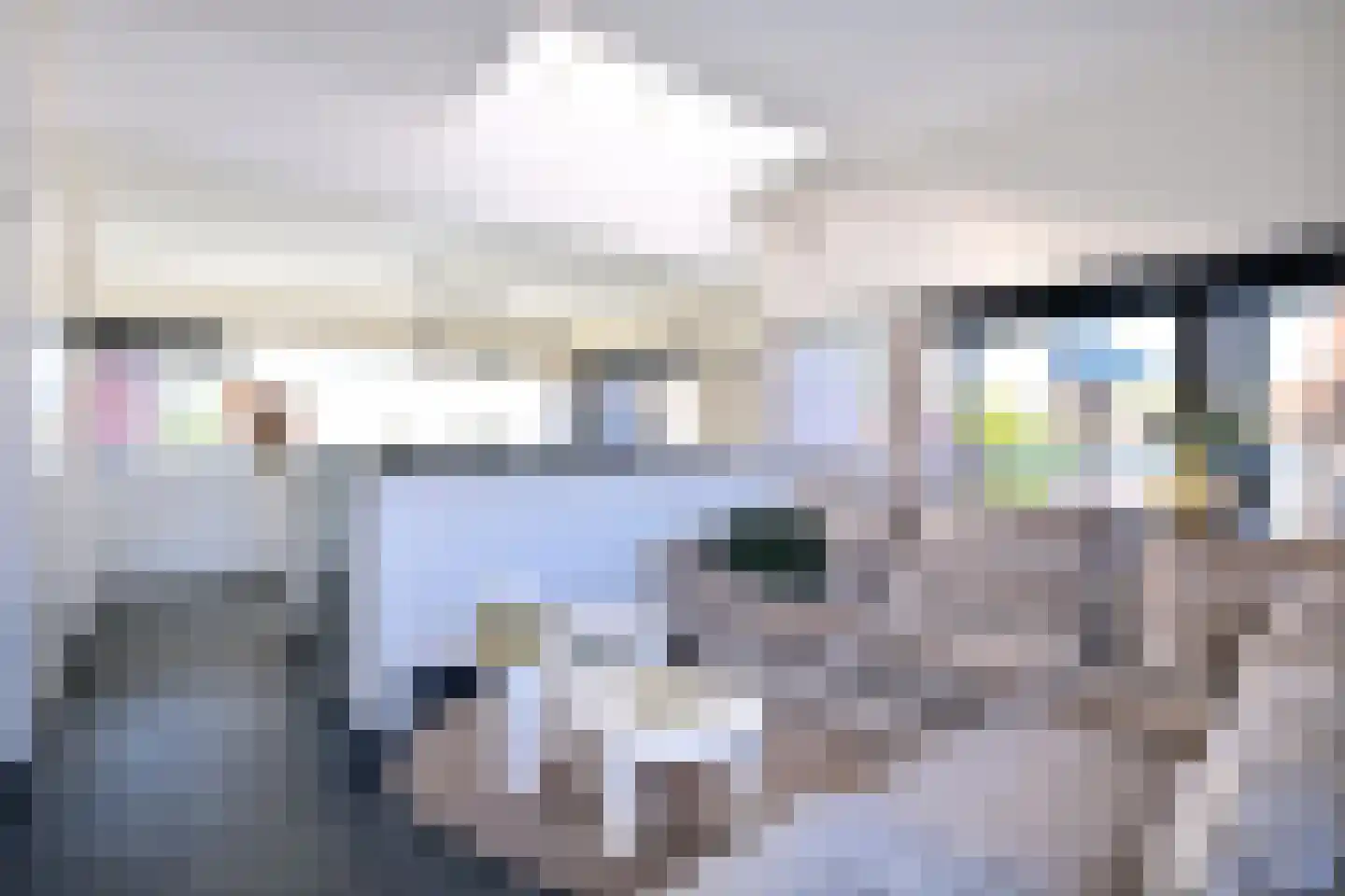 Kees van Baarenstraat 1 Deventer thumbnail 13