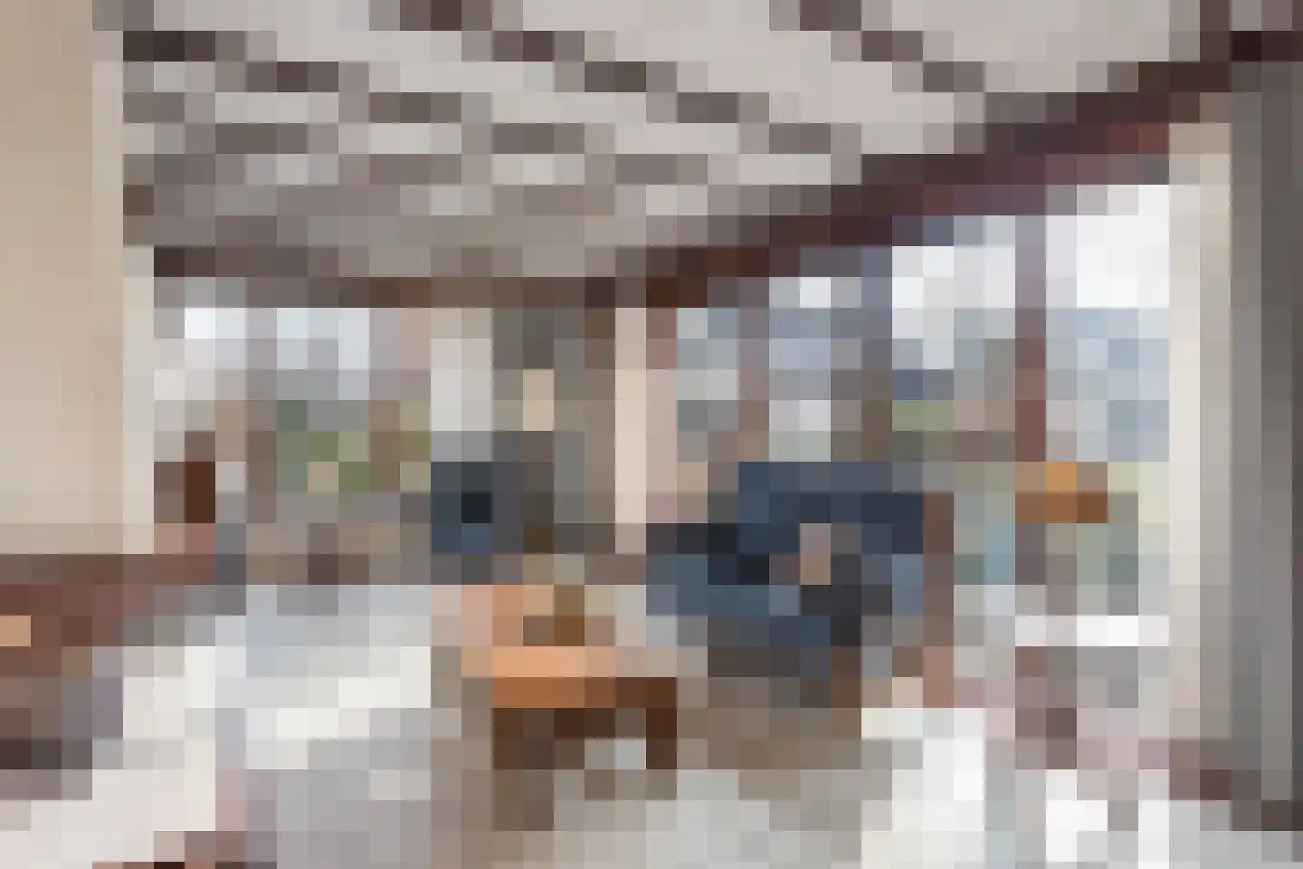 Kees van Baarenstraat 26 Hengelo thumbnail 8