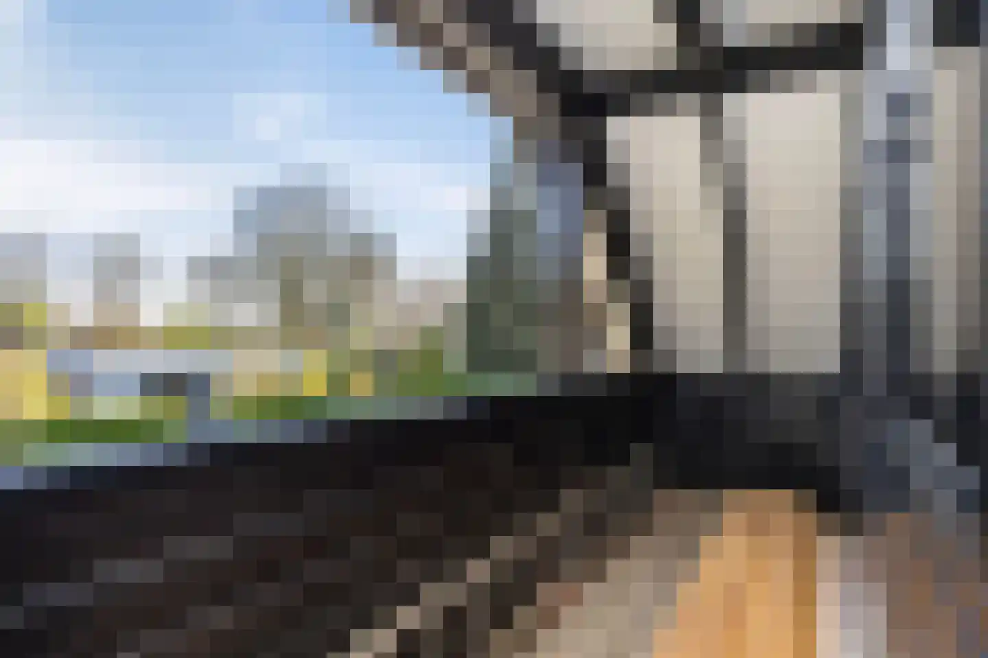 Kees van Baarenstraat 47 Hengelo thumbnail 26