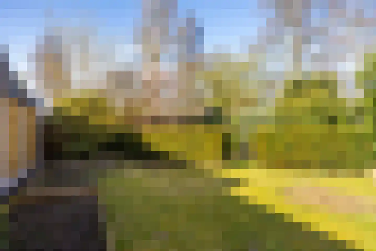 Kees van Baarenstraat 47 Hengelo thumbnail 30