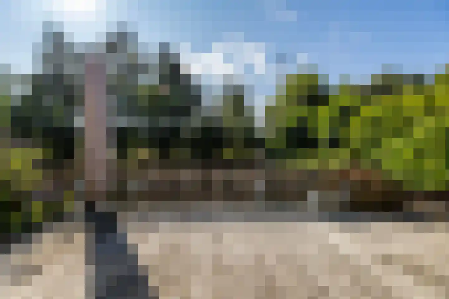 Kees van Hasseltstraat 1 Rotterdam thumbnail 17