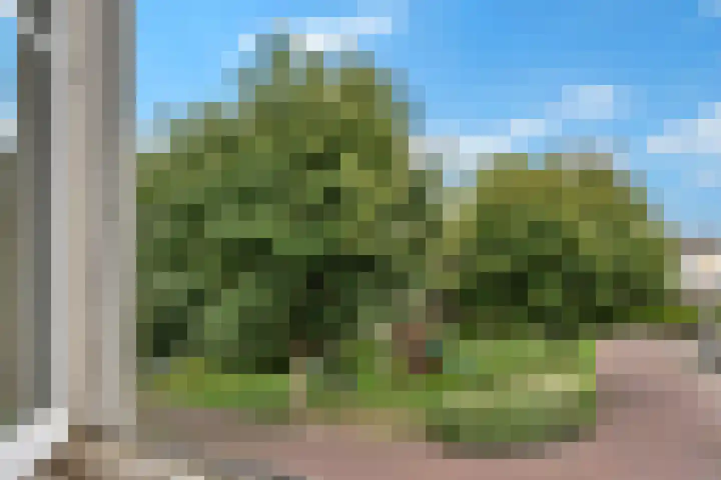 Kees van Hasseltstraat 10 Rotterdam thumbnail 32