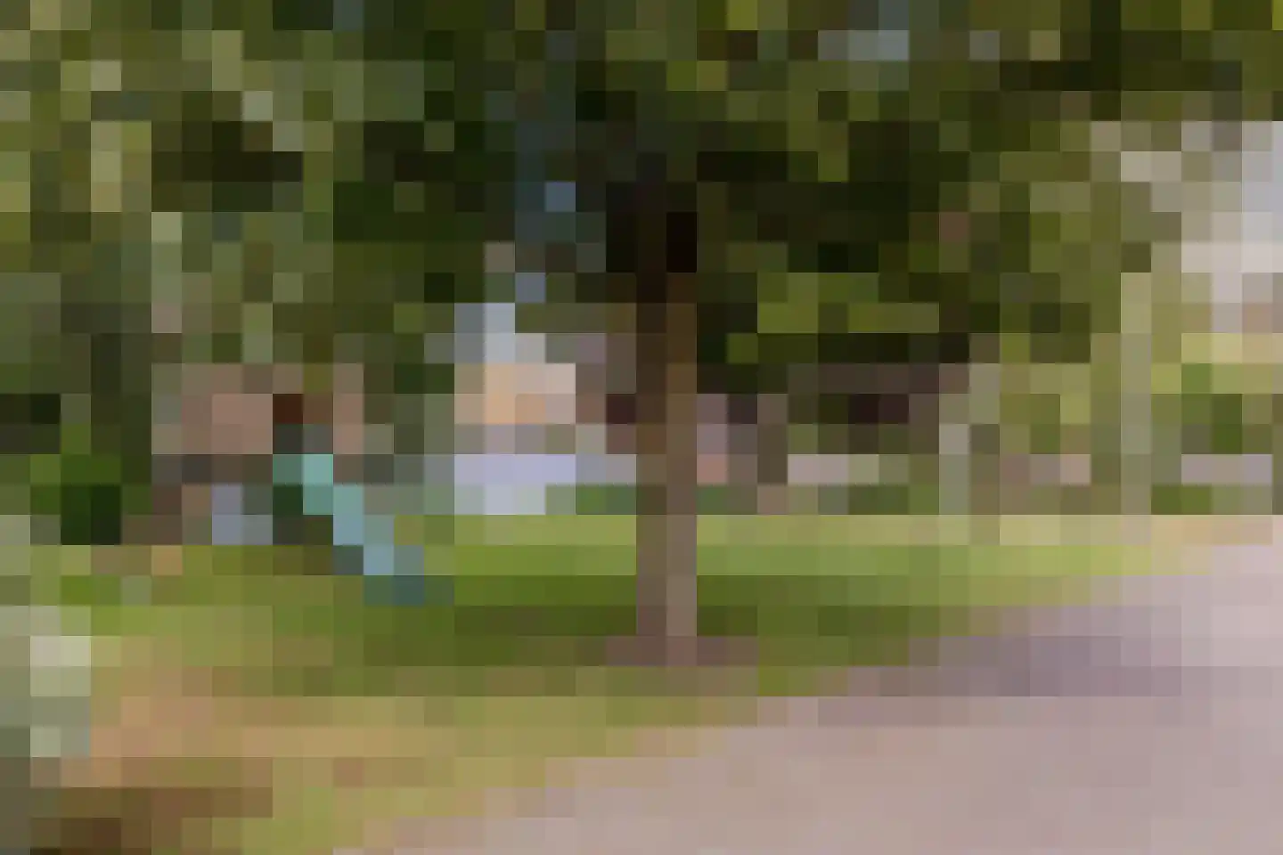 Kees van Hasseltstraat 8 Rotterdam thumbnail 40