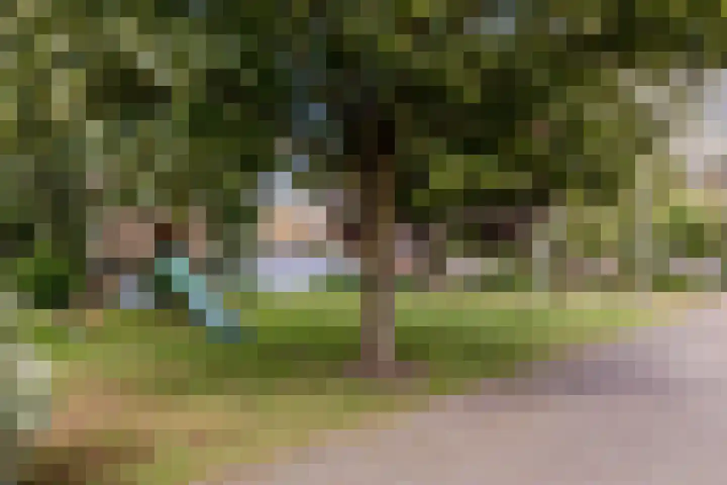 Kees van Hasseltstraat 8 Rotterdam thumbnail 41
