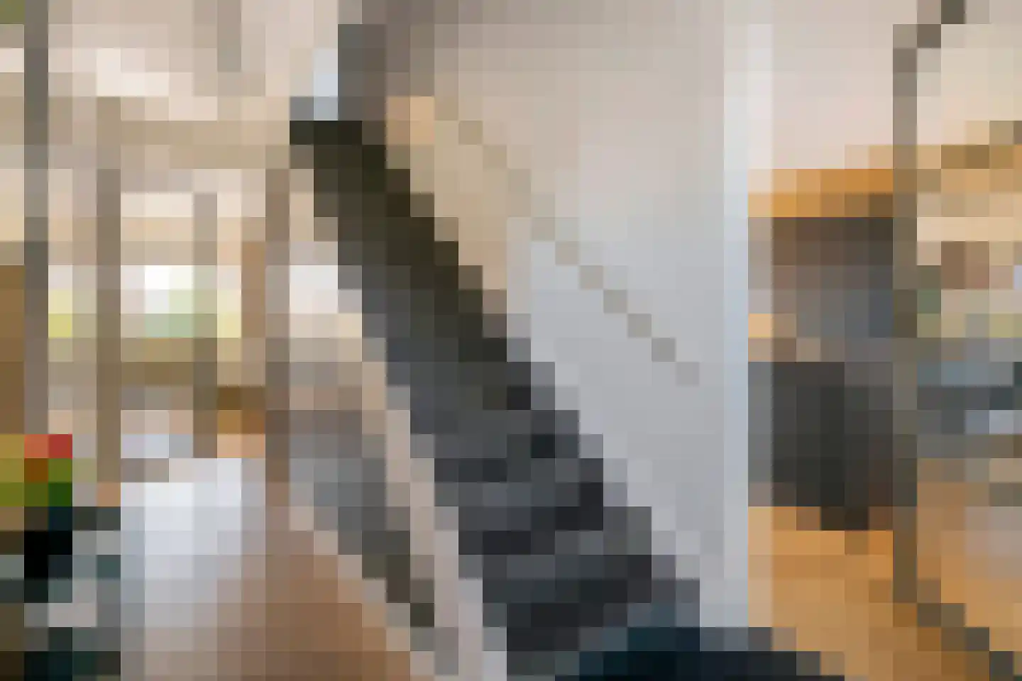 Kees van Lintstraat 18 Culemborg thumbnail 18
