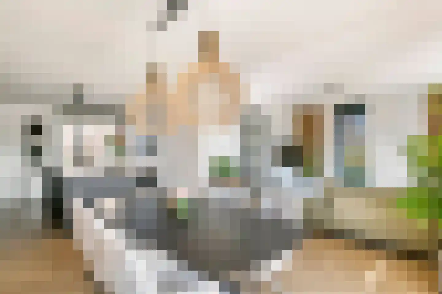 Kees van Lintstraat 18 Culemborg thumbnail 25