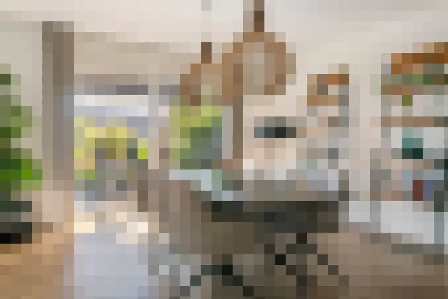 Kees van Lintstraat 18 Culemborg thumbnail 27